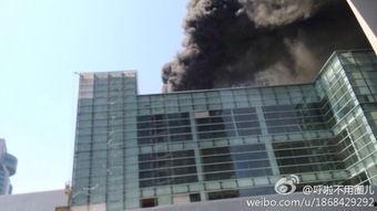 武昌特尼特最新爆料 第1张 武昌特尼特最新爆料 第1张